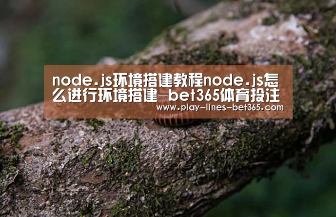 node.js环境搭建教程node.js怎么进行环境搭建-bet365体育投注(图4) bet365体育官网