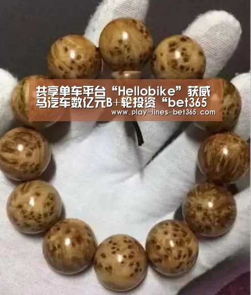 bet365体育官网