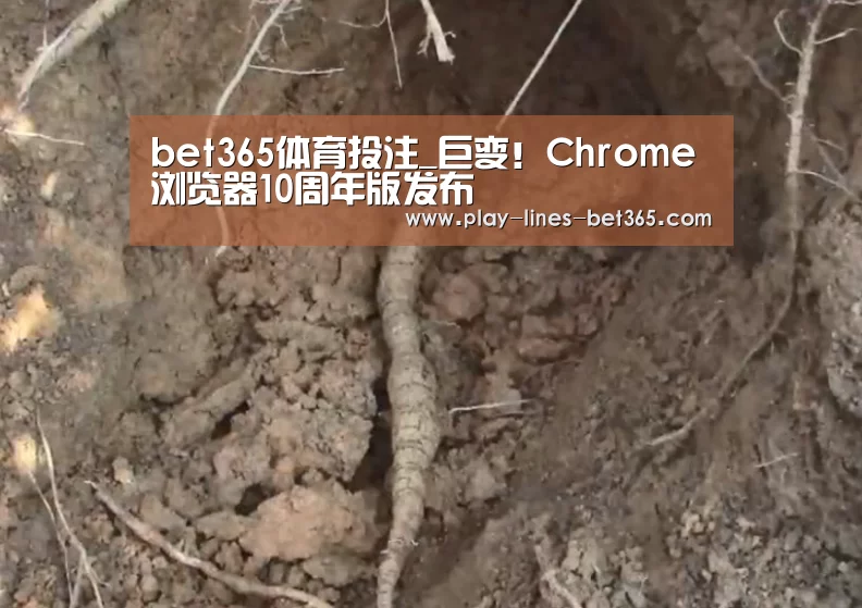 bet365体育投注_巨变!Chrome浏览器10周年版发布(图3) bet365体育官网